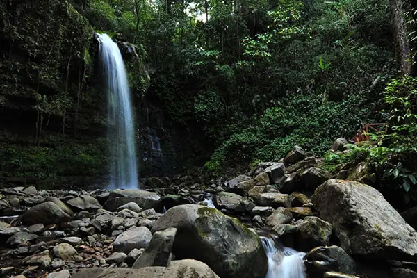 Crocker Range Park