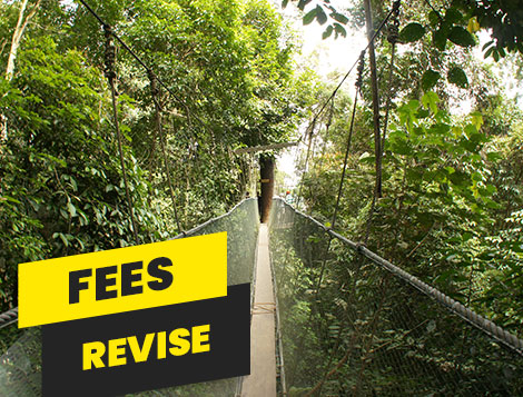 Fees Revise